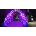 VIP Entrance Tunnel Balloon Arch